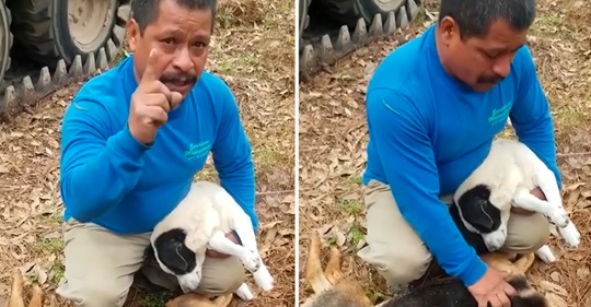 Homem desconsolado chora porque envenenaram seus cães