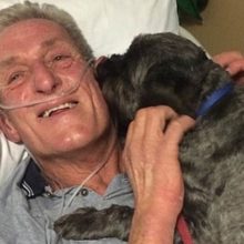 Homem estava em coma e desperta com o latido do seu cachorro