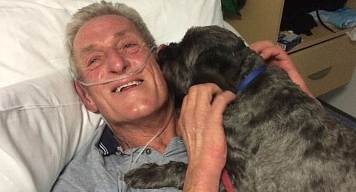 Homem estava em coma e desperta com o latido do seu cachorro