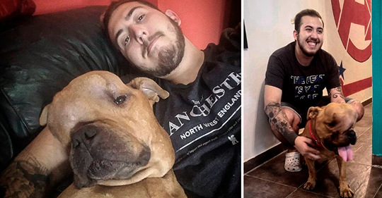 Homem adota cachorro com câncer para dar a ele um lar em seus últimos dias