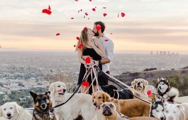 Homem faz pedido de casamento a namorada acompanhado de 16 cães