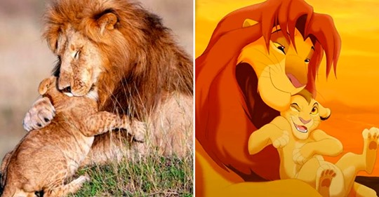 Foto vira viral do Mufasa e Simba do filme Rei Leão da vida real