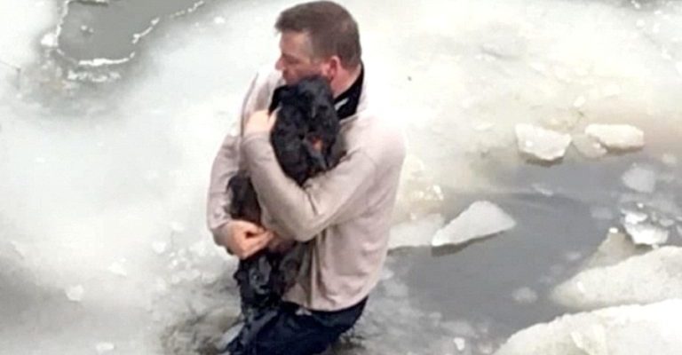 Um homem vê um filhote de cão pedindo socorro nas águas congeladas e arrisca sua vida para salvá-lo