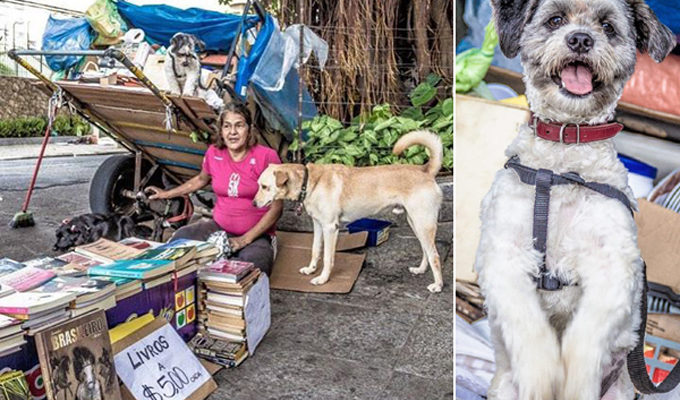 Uma moradora de rua vende livros usados para poder alimentar seus cães