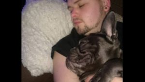 Um cachorro morre 15 minutos depois que seu dono