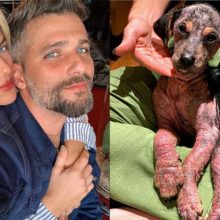 Bruno Gagliasso e Giovanna Ewbank adotam cachorrinha abandonada em estrada