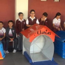 Crianças de uma escola constroem casinhas para cães de rua