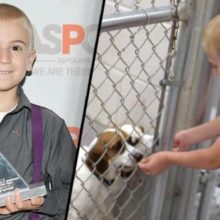 Garoto de apenas 7 anos recebeu prêmio por salvar mais de 1.300 cães