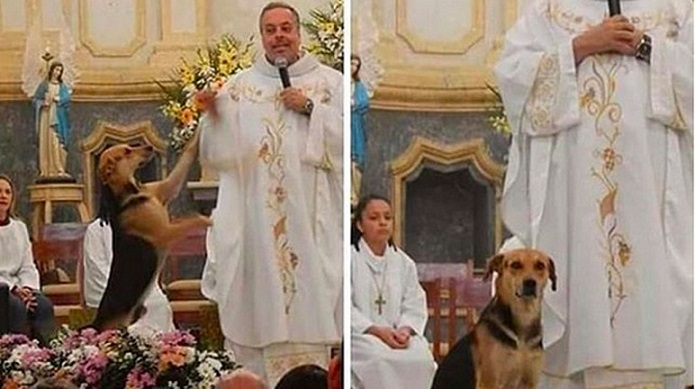 Padre resgata cães de rua e incentiva adoção durante missa