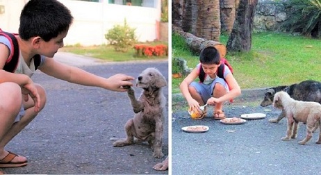 Garoto de 9 anos usa suas economias para alimentar cães de rua
