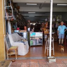 Homem coloca na sua loja um sofá, água e ração para cachorros de rua