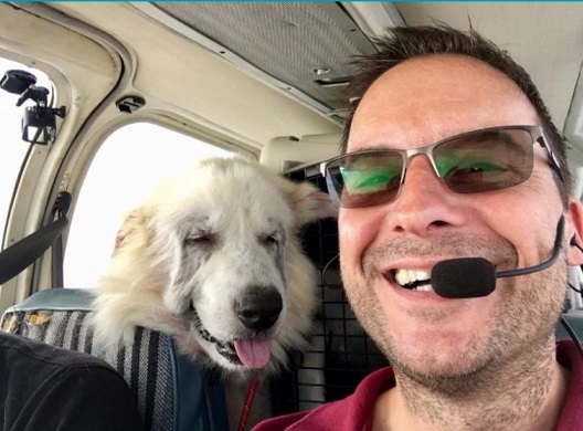 Homem comprou um avião para resgatar cães prestes a serem sacrificados