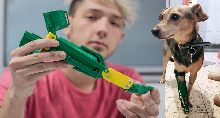 Jovem de 18 anos cria próteses para cães deficientes e ajuda eles a terem uma nova vida