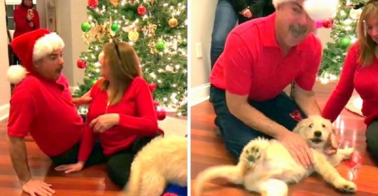 Um homem fica muito emocionado ao ganhar cachorro como presente de Natal