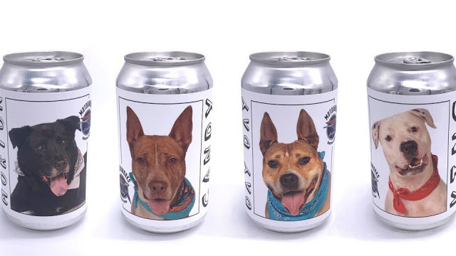 Cervejaria lança campanha e mostra cães para adoção em suas latas de cerveja