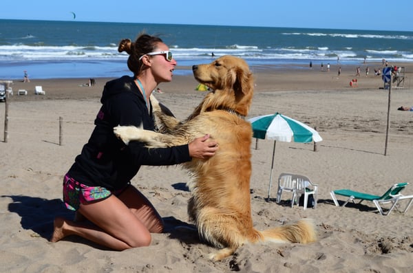 Foi criado uma praia exclusiva para quem quiser levar cães em Mar del Plata
