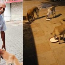 Homem de 70 anos acorda todos os dias de madrugada para fazer comida para cães de rua