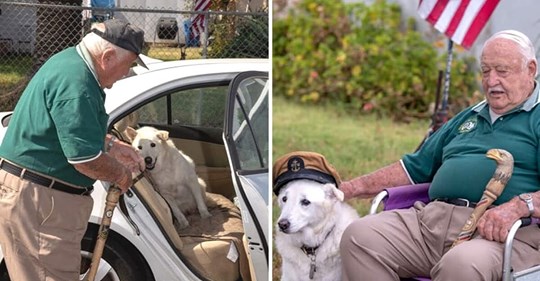 Idoso de 93 anos adota cachorro idoso que ia ser sacrificado