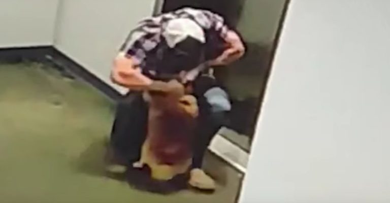 Um Homem virou herói salvando cachorro de acidente mortal em elevador