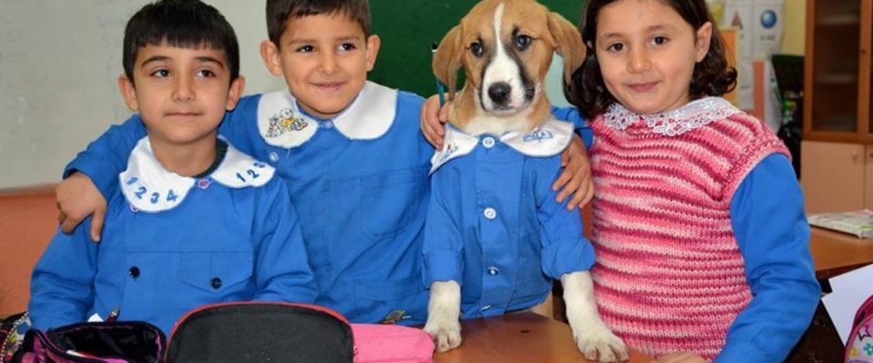 Cachorrinho resgatado vai para as aulas com uniforme escolar e ajuda seus colegas de classe a aprender