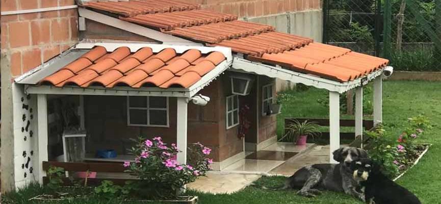 Depois de adotados cães vivem em uma “mansão” com varanda, jardim e câmera