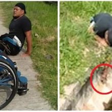 Homem salta da sua cadeira de rodas para poder salvar a vida de um gatinho