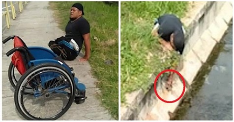 Homem salta da sua cadeira de rodas para poder salvar a vida de um gatinho