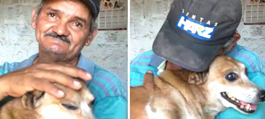 Pedreiro encontra seu cão após incêndio “Eu podia perder tudo, menos ele”