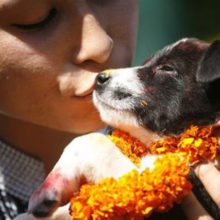 Festival no Nepal celebra o dia dos cães e as fotos são apaixonantes
