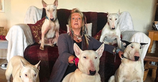 Homem fez sua esposa escolher entre seus cães resgatados e ele – Ela escolheu os cachorros