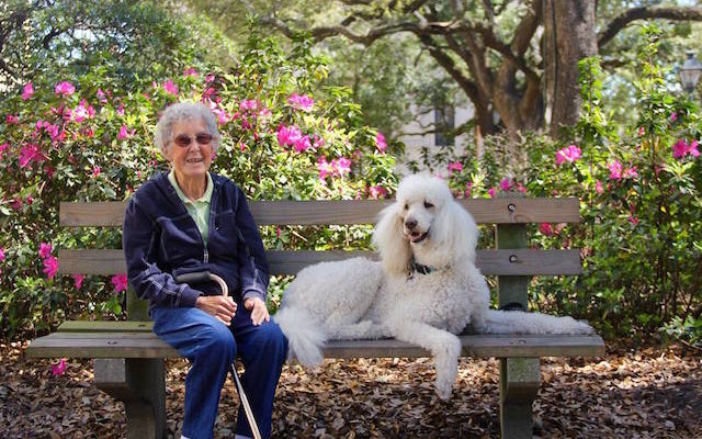 Idosa de 90 anos recusou a quimioterapia e começou a viajar com seu cachorro