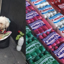 Idoso vende chiclete para poder alimentar o seu cachorro