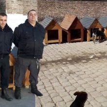 Internos de uma cadeia na Argentina fazem casinhas para cachorros abandonados