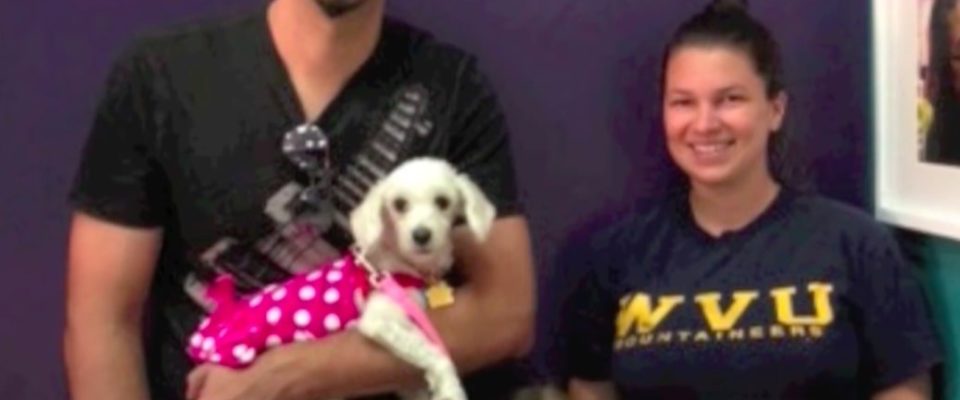 Cachorro é resgatado de abrigo de alta matança e é adotado por uma família