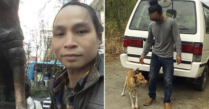Homem andou por 3 dias com medo de ser um transportador do vírus e um cão leal o acompanhou