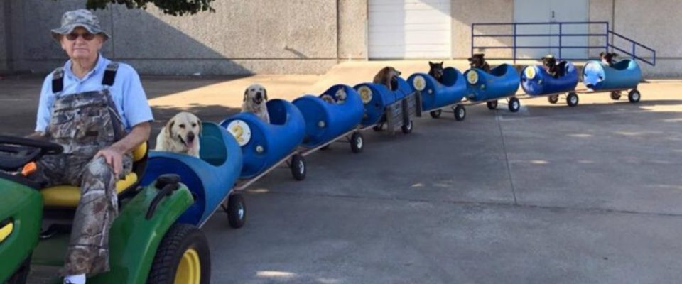 Homem de 80 anos constrói um trem de cachorro para levar cães de rua resgatados para passear