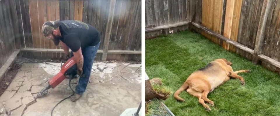 Homem trabalha fim de semana para dar ao cão da namorada um quintal