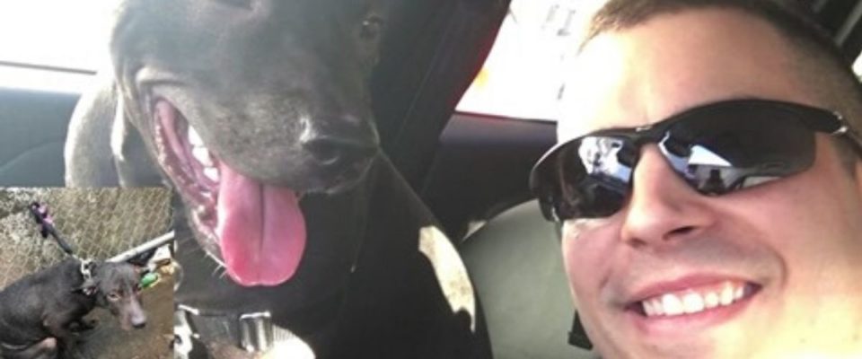 Policial encontra cão amarrado na chuva fria, ele o resgata e se tornam melhores amigos