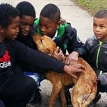 4 meninos resgatam um cão amarrado no fundo de uma casa