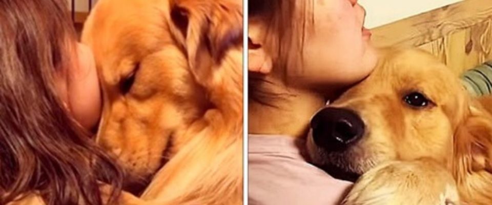 A reação de um cachorro que não pode acreditar que seu dono superou o vírus