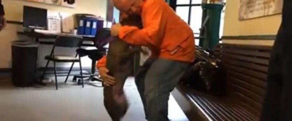 Bombeiro adota cão que resgatou e o bichinho fica emocionado e pula de alegria