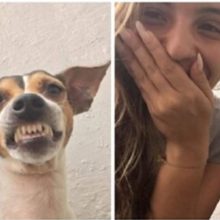 Cão de abrigo dá um sorriso tirando selfie com cuidadora voluntária