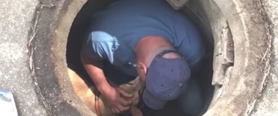 Um homem salva cachorro idoso que caiu em um esgoto