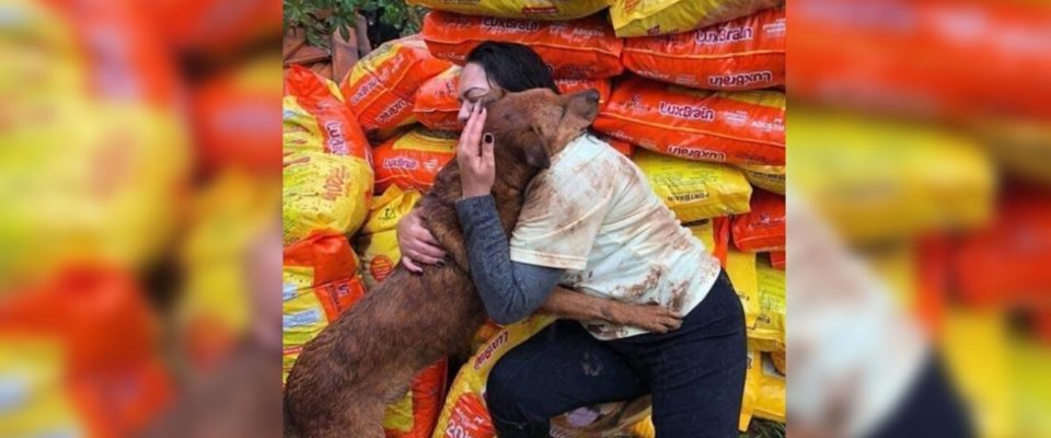 Mulher doa ração para abrigo que estava sem comida e um cão pulou para abraçá-la