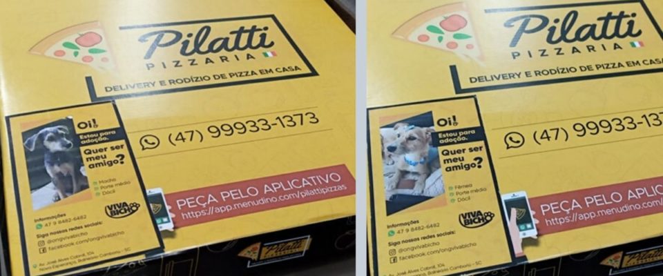 Pizzaria adota ideia de colocar fotos de cães de abrigo na caixa de pizza