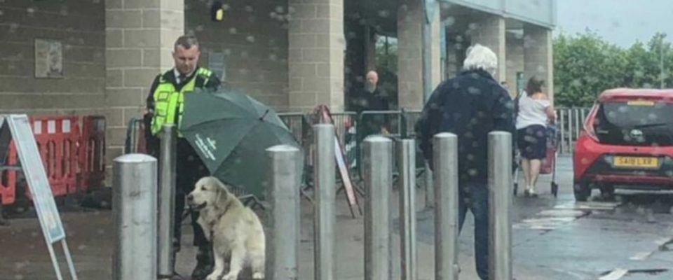 Segurança protege o seu cachorro com o guarda-chuva durante um temporal