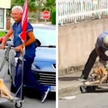 Idoso constrói um carrinho para levar seu cão doente idoso para passear todos os dias