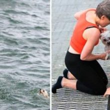Jovem vê cachorro se afogando e não pensa duas vezes em pular e salvar ele
