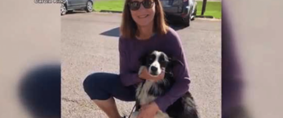 Mulher deixou o seu emprego e passou 57 dias tentando encontrar seu cão perdido