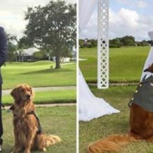 Veterano de guerra escolhe seu cão de serviço para ser seu padrinho de casamento